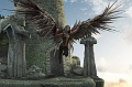 AviaraFinal