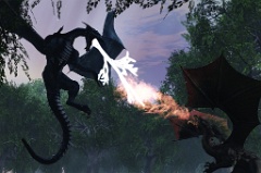 dragfight_final